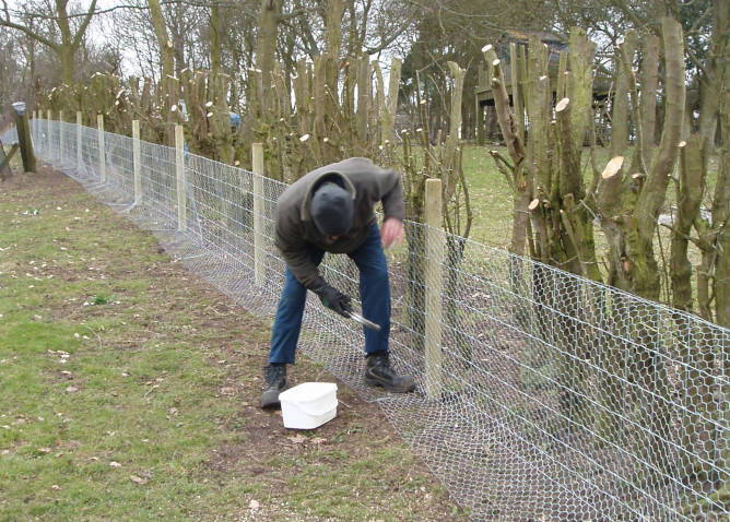 Rabbit Fencing Installation