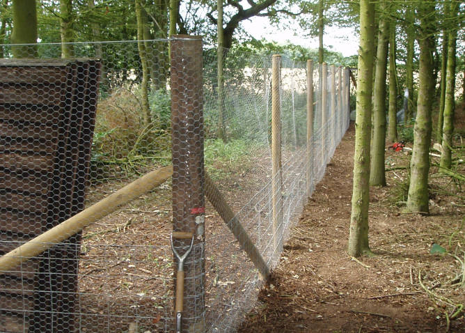 Deer Fencing Deer Fencing Installer Company in Sudbury & Braintree