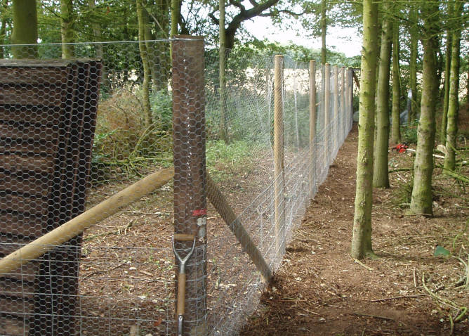 Deer Fencing Installer Company in Sudbury & Braintree