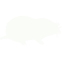 mole-mammal-animal-shape