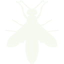 wasp-silhouette