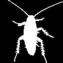 cockroach-sildark