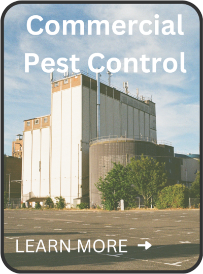 commercial pest control in Essex & Suffolk