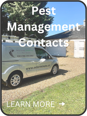pest management contracts in Essex & Suffolk