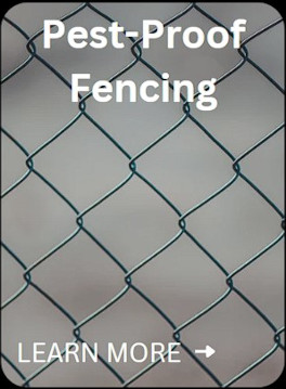 fencing